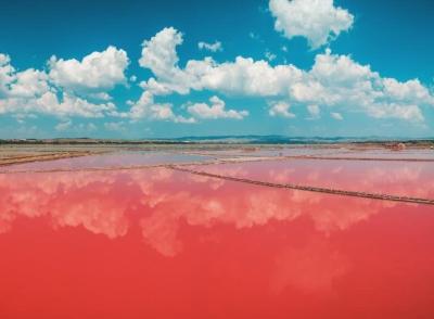 BURGAS SALT LAKES - SWIMMING POOLS WITH LYE AND HEALING MUD 4